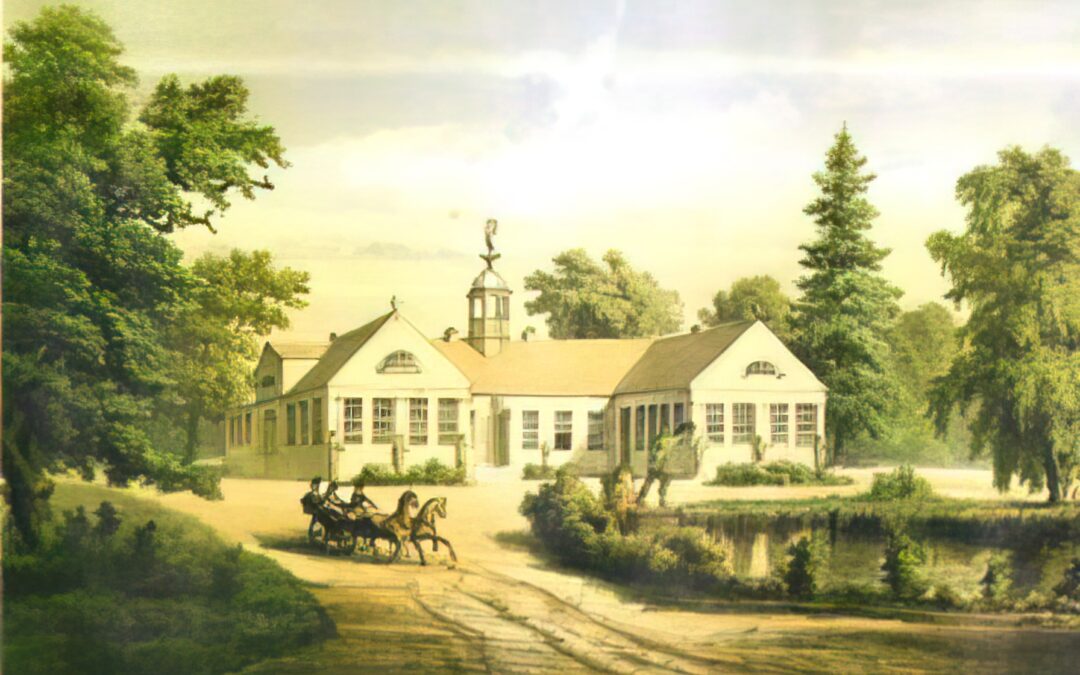 Redekin