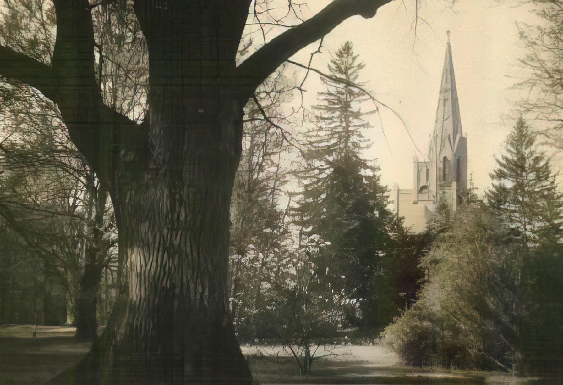 Tankow - Kirche und Park Tankow - Kirche und Park