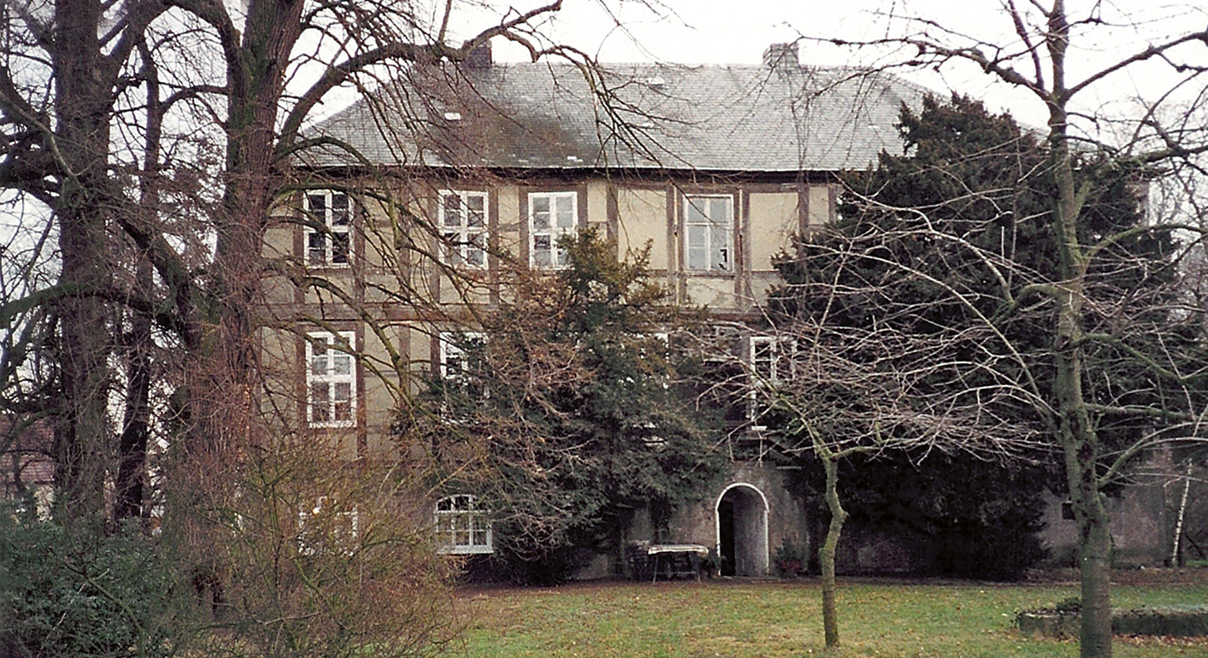 Schenkenhorst 1998
