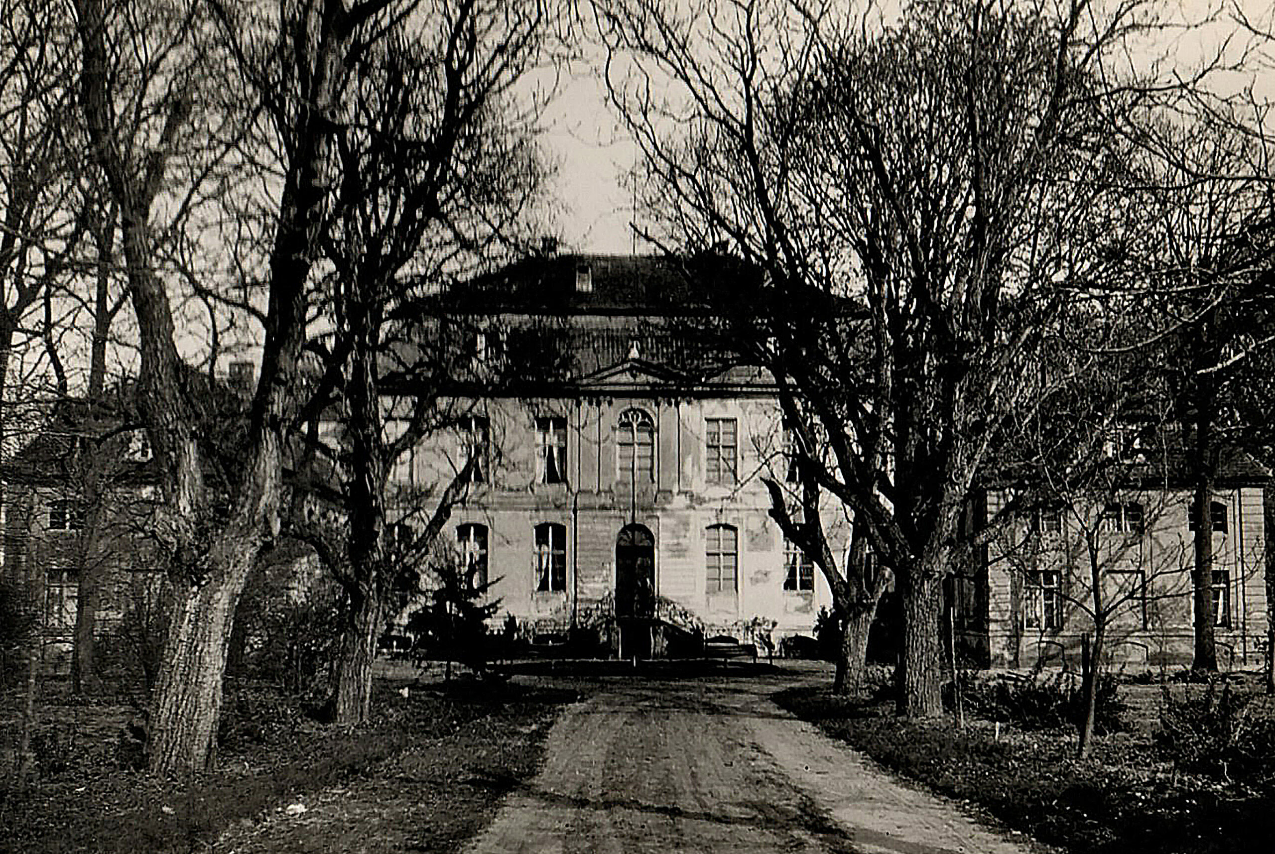 Schollene 1937